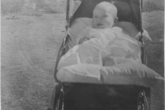 Lacey, Birda in Buggy 1905ish LWA2