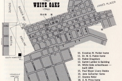 V- White Oaks Town Map Parker