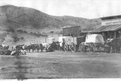 White Oaks, Chuck Wagons and Cattle JMCfb