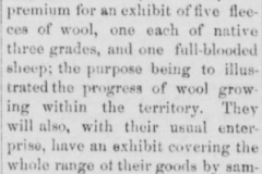 The-Lincoln-County-leader.-volume-May-19-1883-Image-1