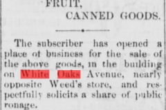 The-Lincoln-County-leader.-volume-January-14-1888-Image-4