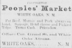 The-Lincoln-County-leader.-volume-June-21-1884