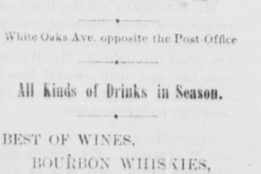 The-Lincoln-County-leader.-volume-June-21-1884b