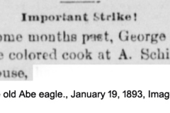 The-old-Abe-eagle.-January-19-1893-Image-4