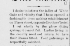 The-old-Abe-eagle.-October-20-1892Dress