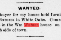 White Oaks eagle., June 23, 1898, Image 3