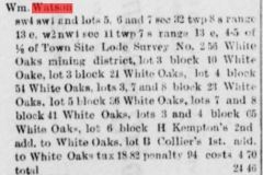 White Oaks eagle., March 19, 1903, Image 8SendDonna