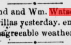 White Oaks eagle., October 03, 1895, Image 4