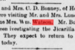 White Oaks eagle., September 12, 1895, Image 4